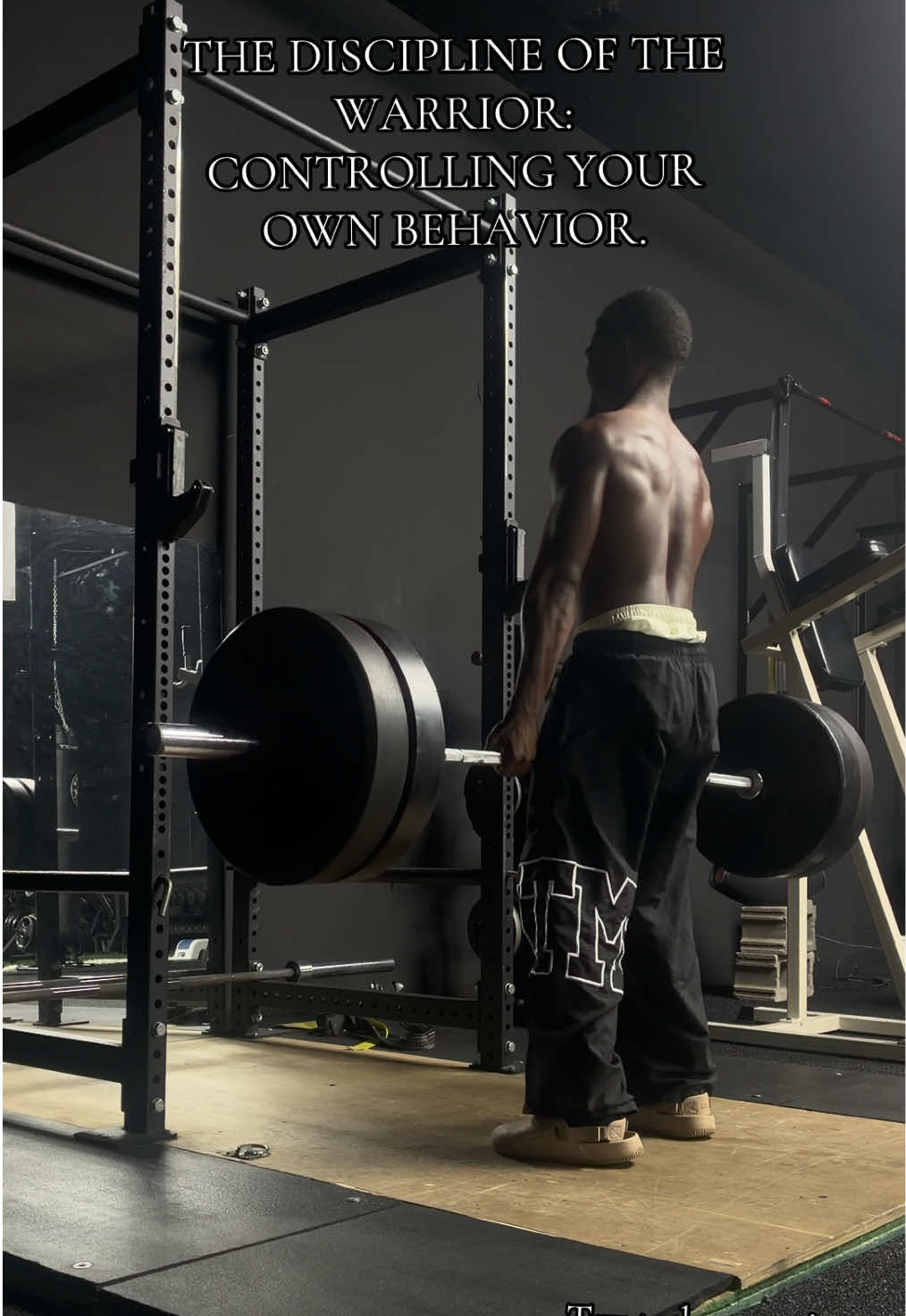 @Silverbackgains🦍🦍