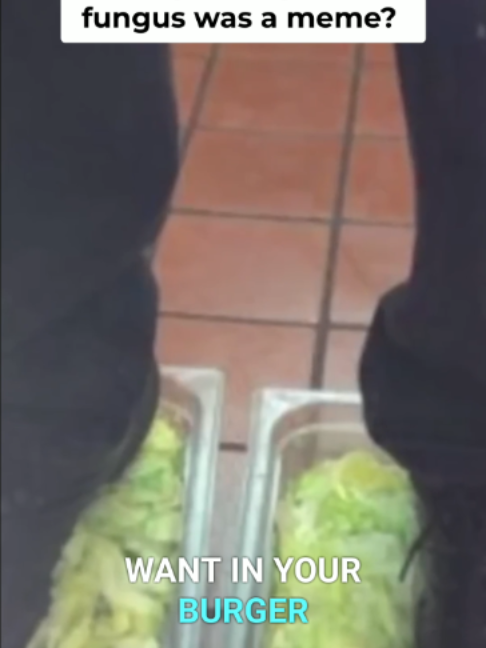 @Know Your Meme