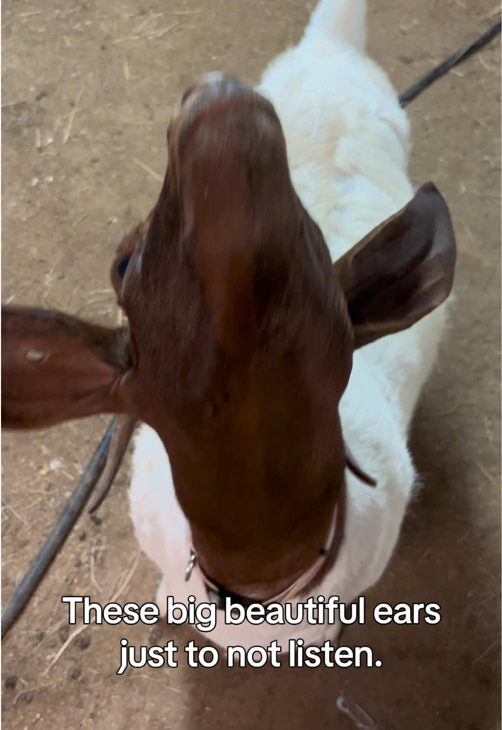 @Sarah ;)