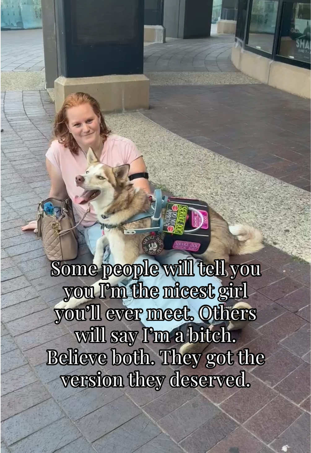 @potsiewithdogs