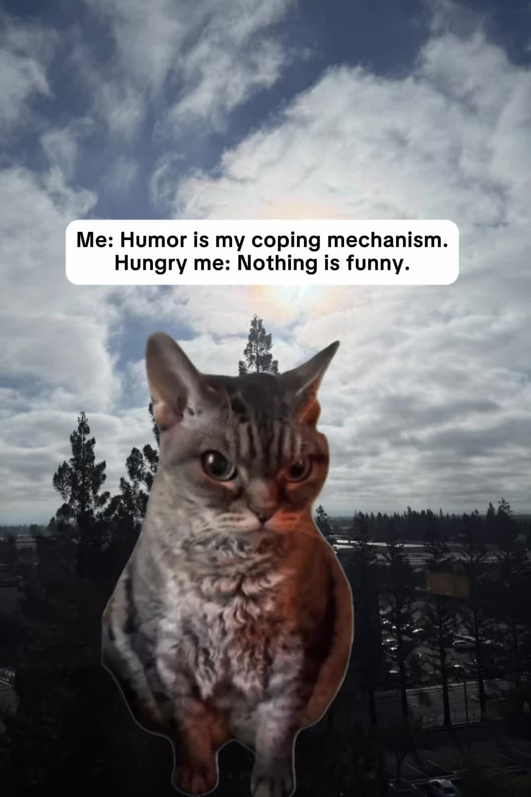 @thestephen3