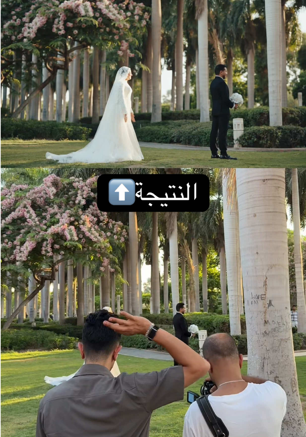 @Adham Mahrous-ادهم محروس