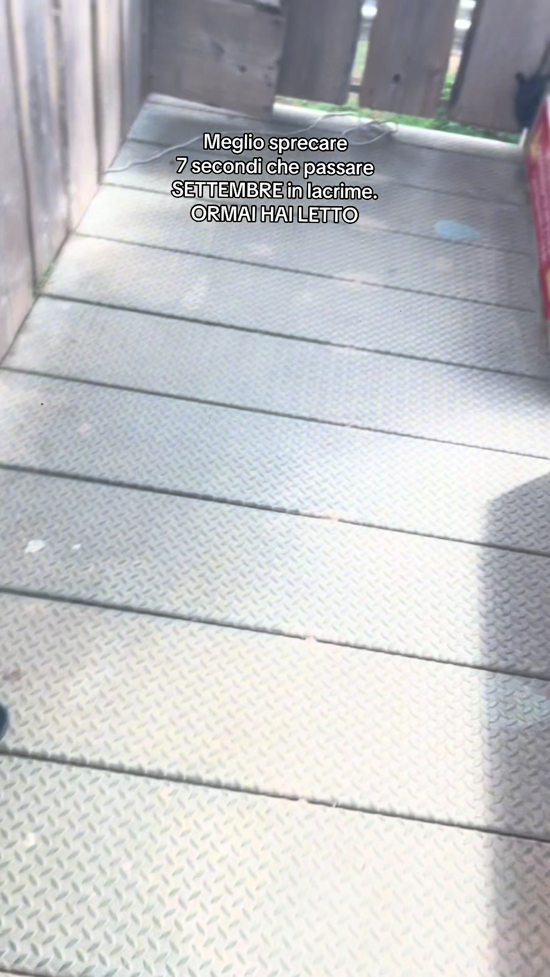 @_danipetre_