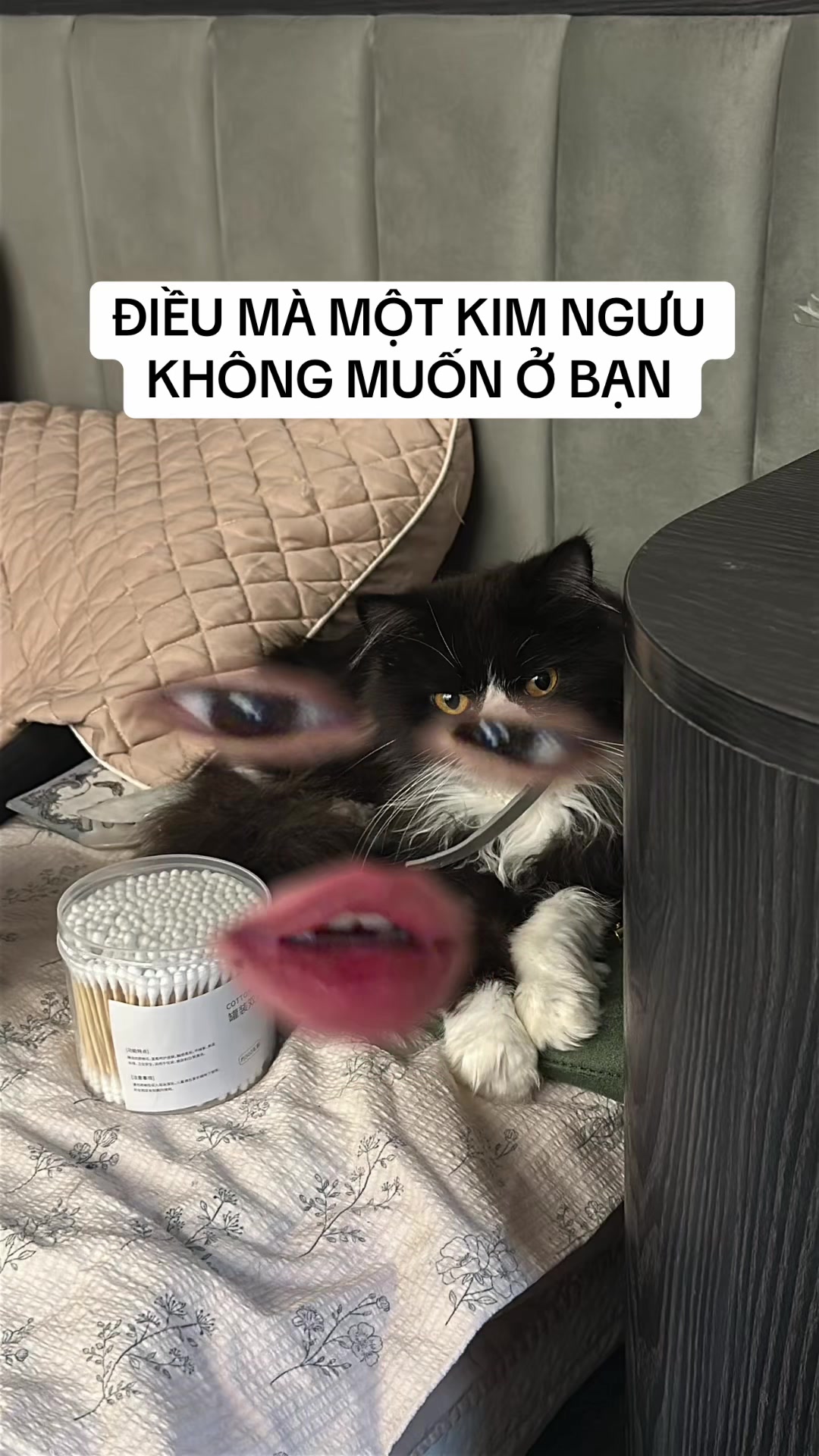 @Arian.astro