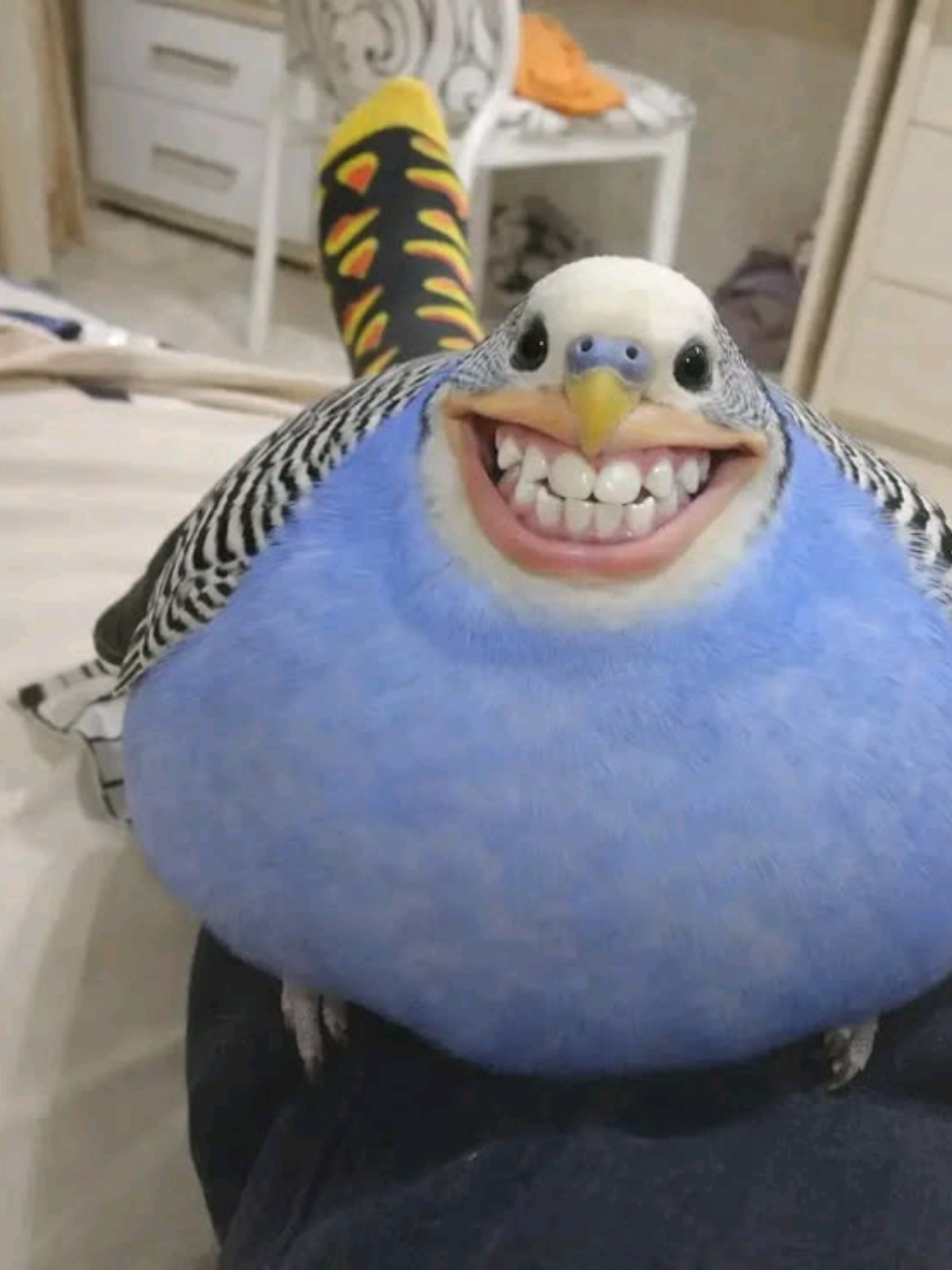 @⋆𝓥𝓮𝓻𝓲𝓽𝓸 ⋆