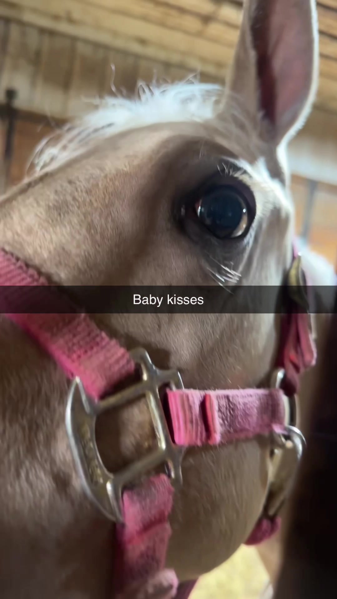 @LilFilly