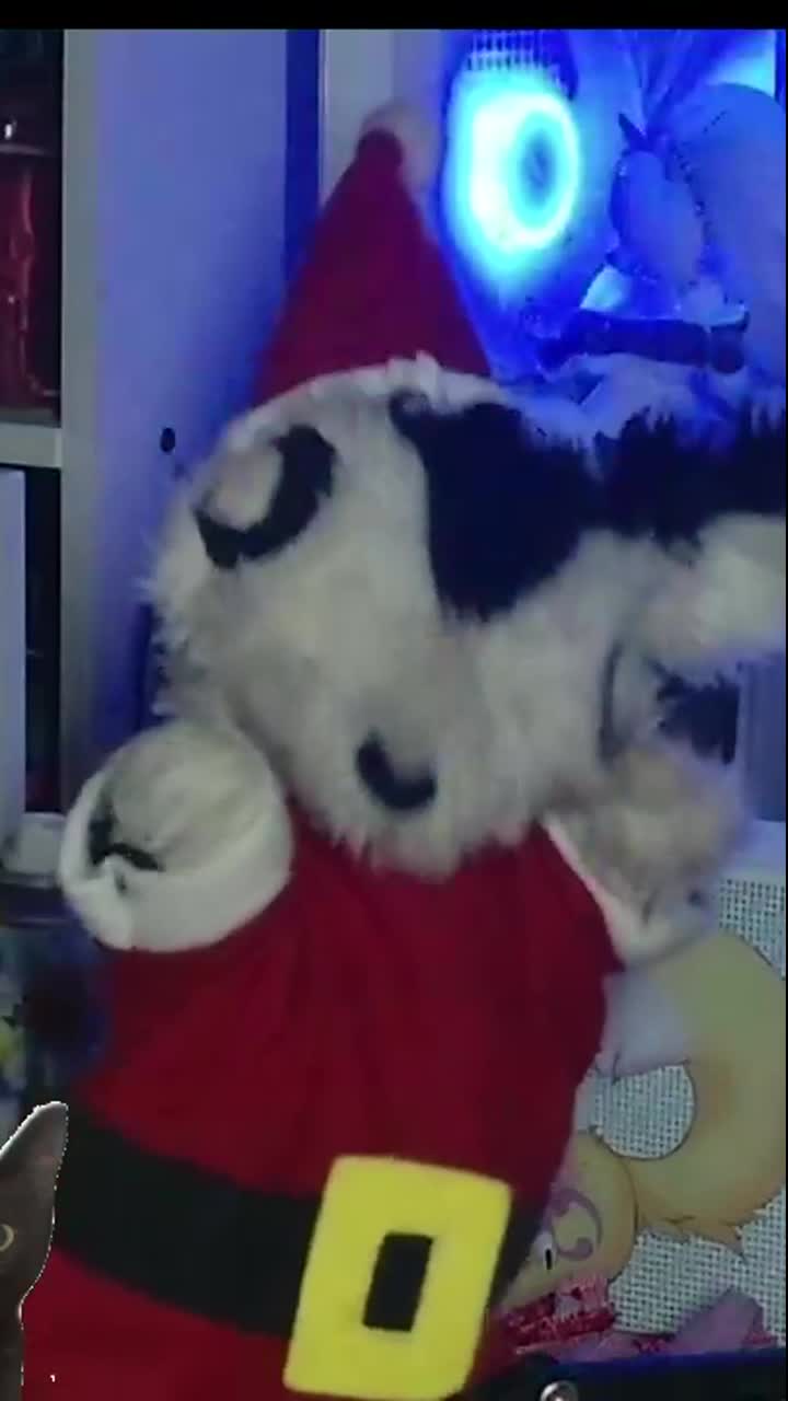 @M4L4 Du Waffle