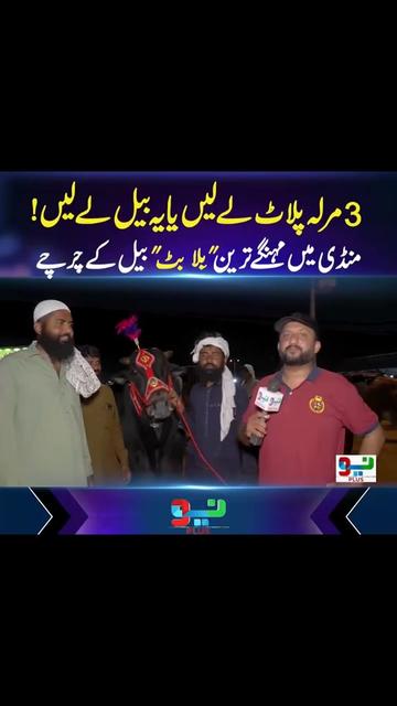 @raja Awais