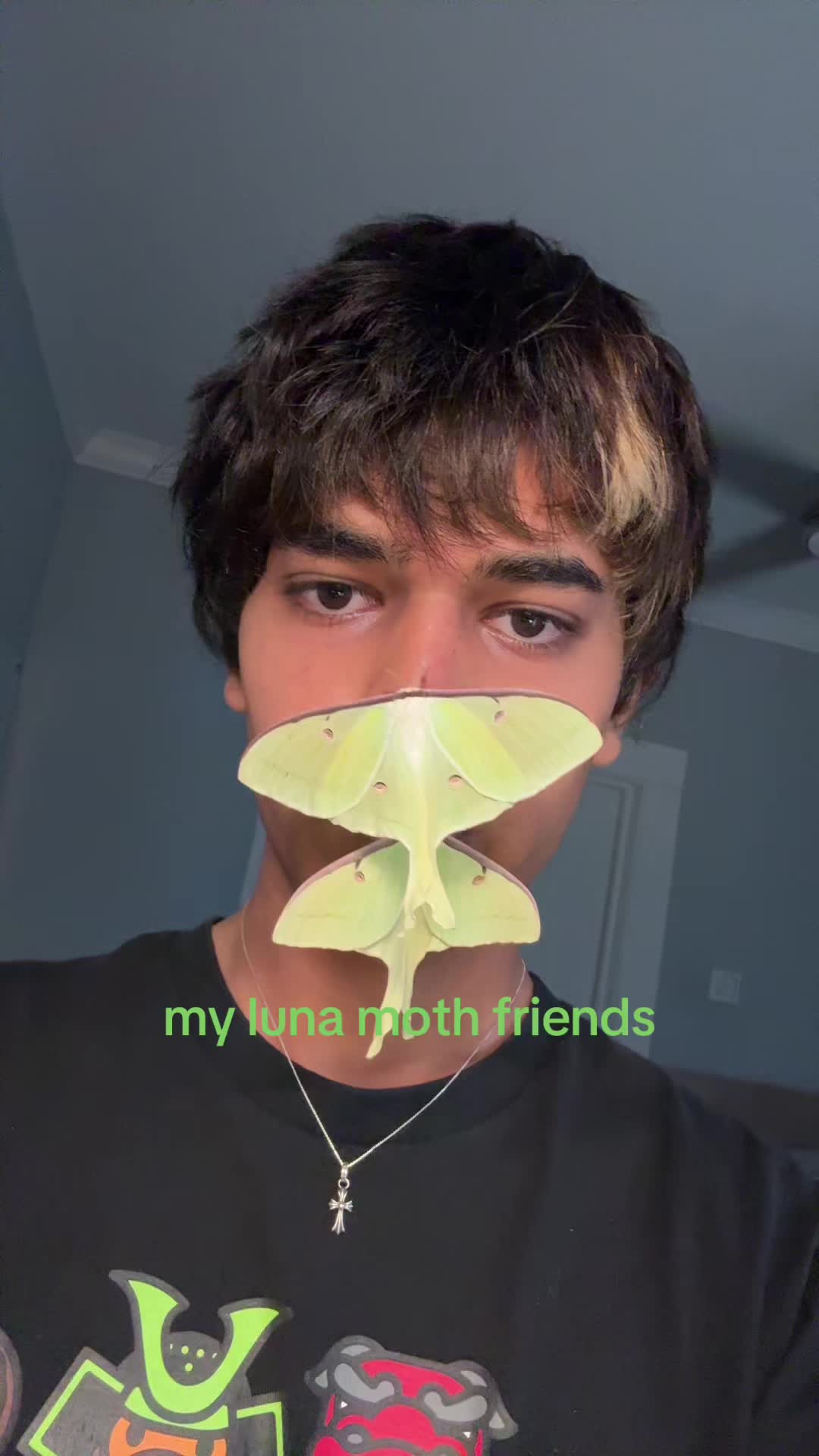 @anendlesstrail