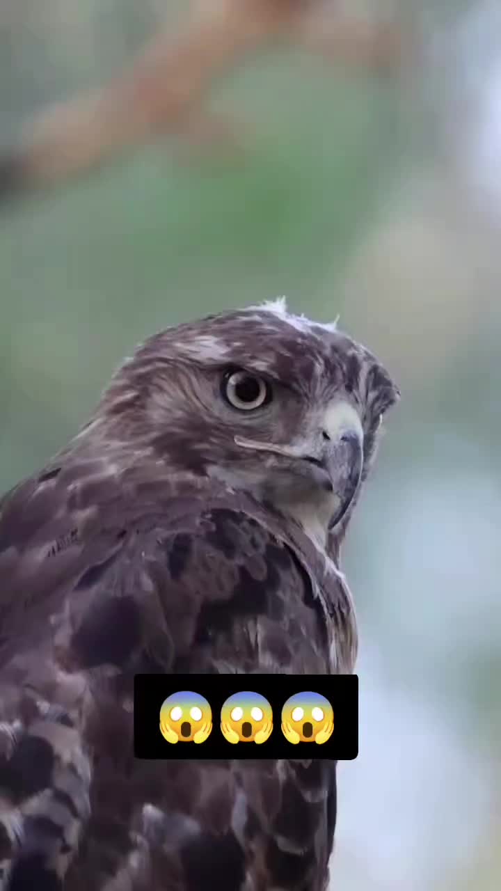 @🅣̣̣̣ 🅤̣̣̣ 🅜̣̣ 🅚̣̣ 🅞̣̣ 🅝̣