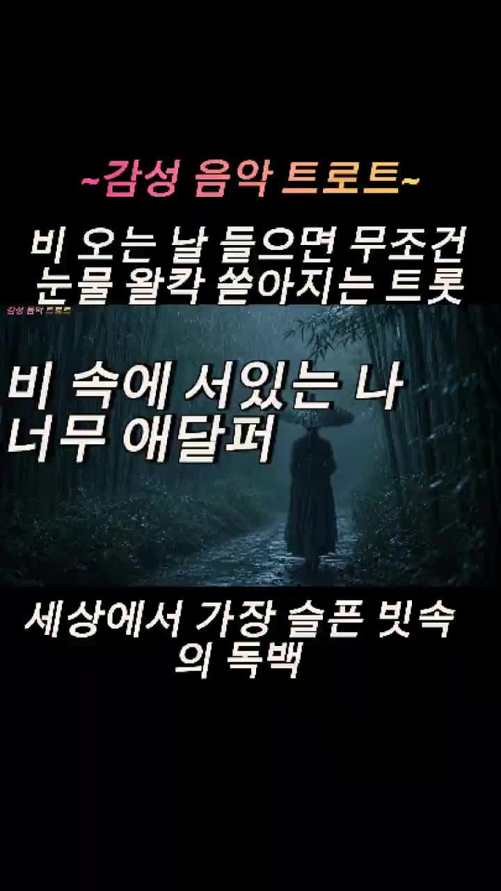 @감성 음악 트로트