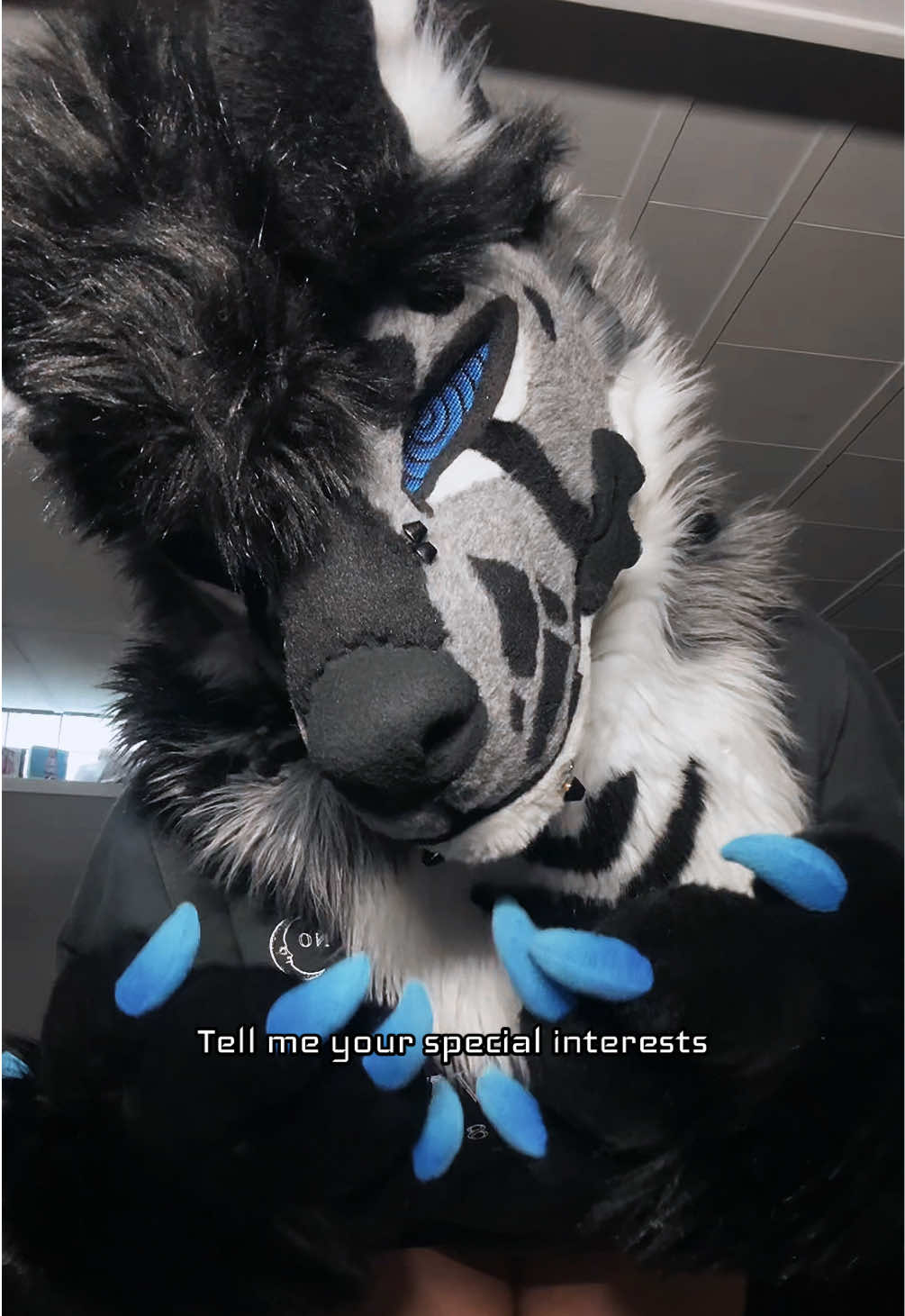 @sonar_hyena_shark