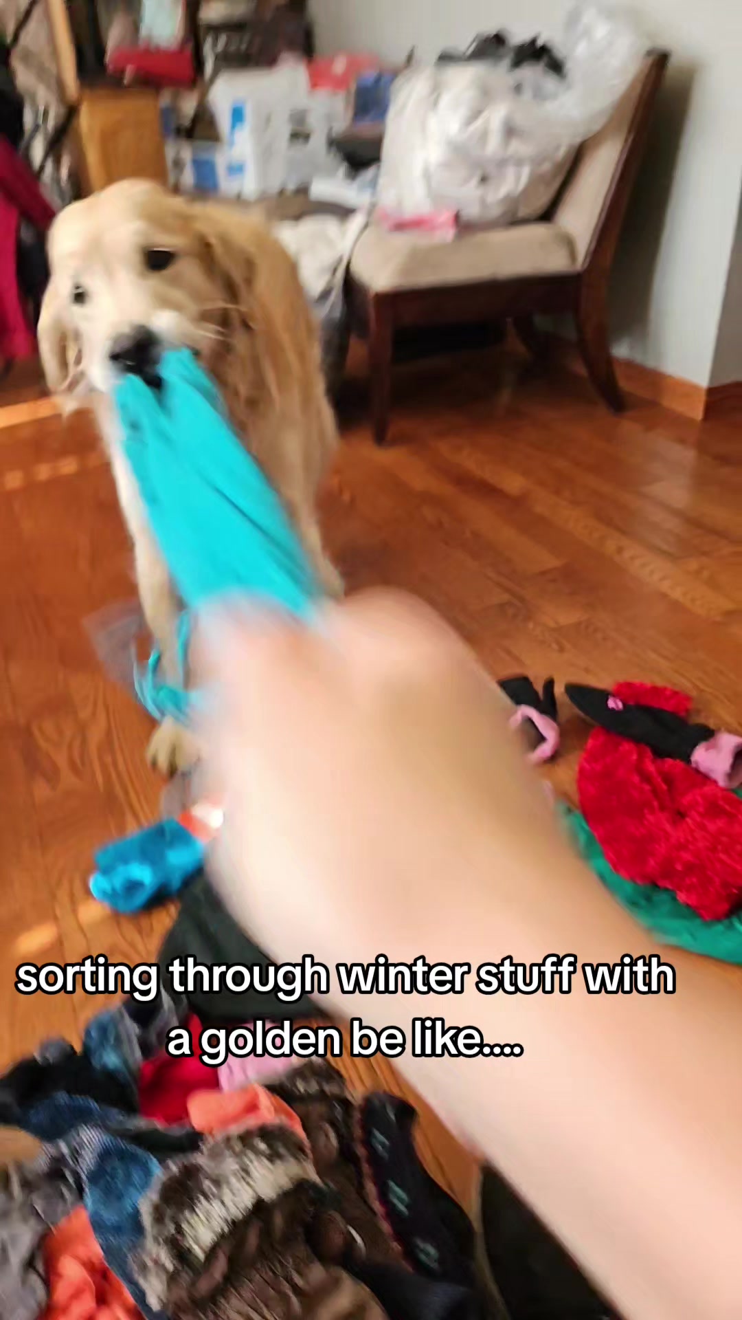 @🐶Griffin