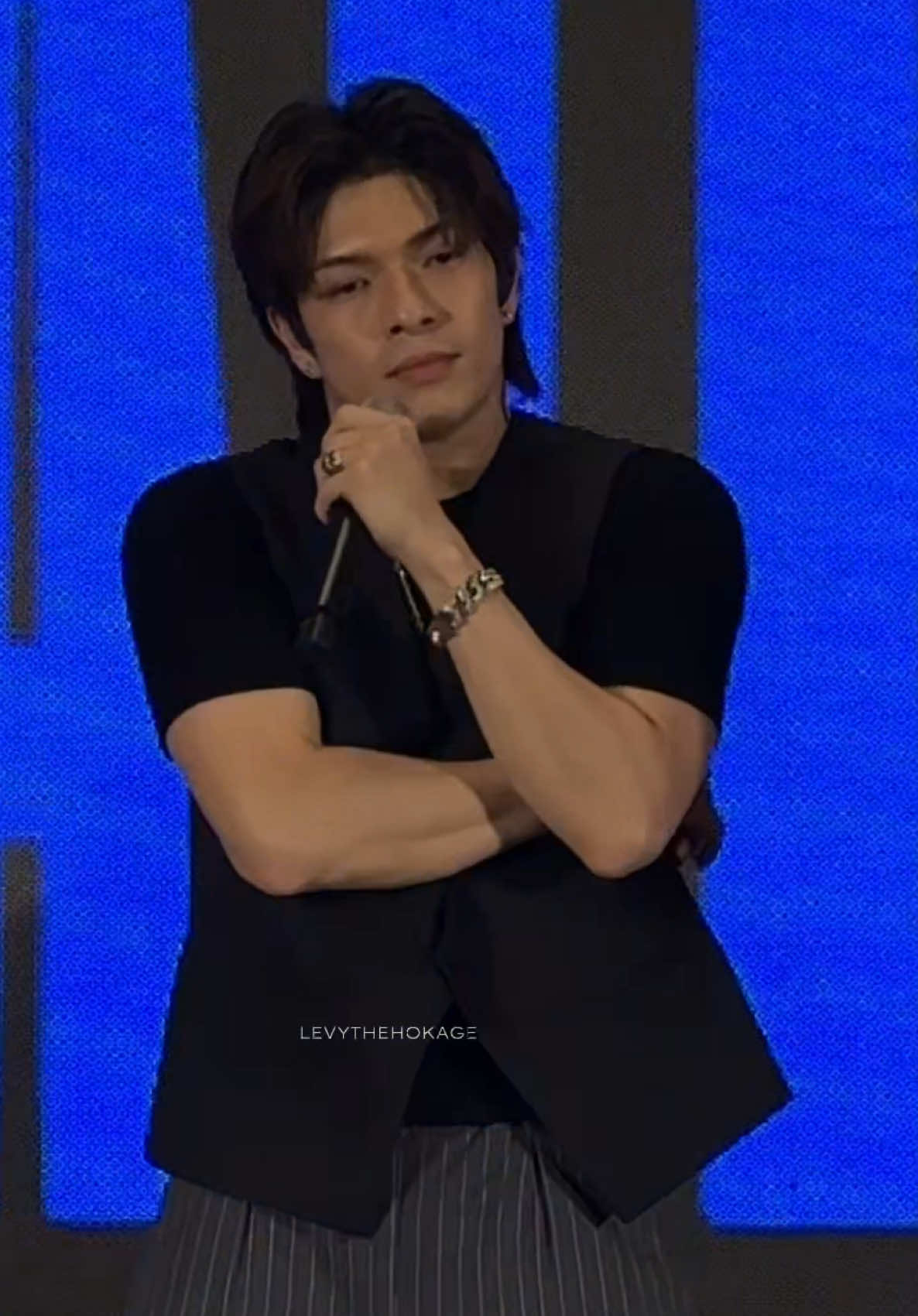 @levythehokage