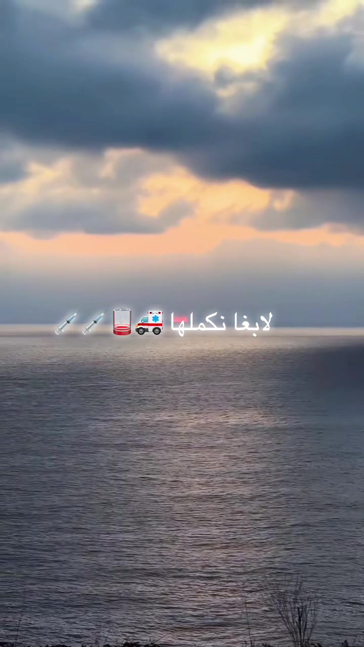@user25412135294
