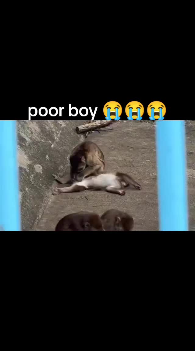 @zikstin16