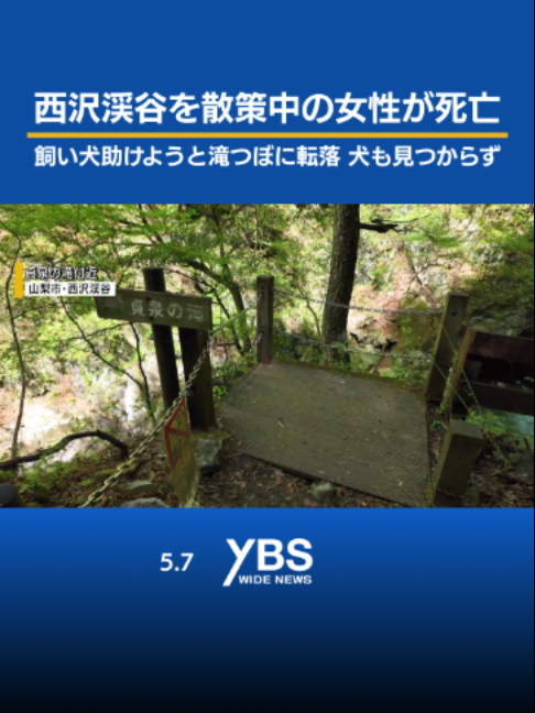 @YBSニュース 山梨【公式】