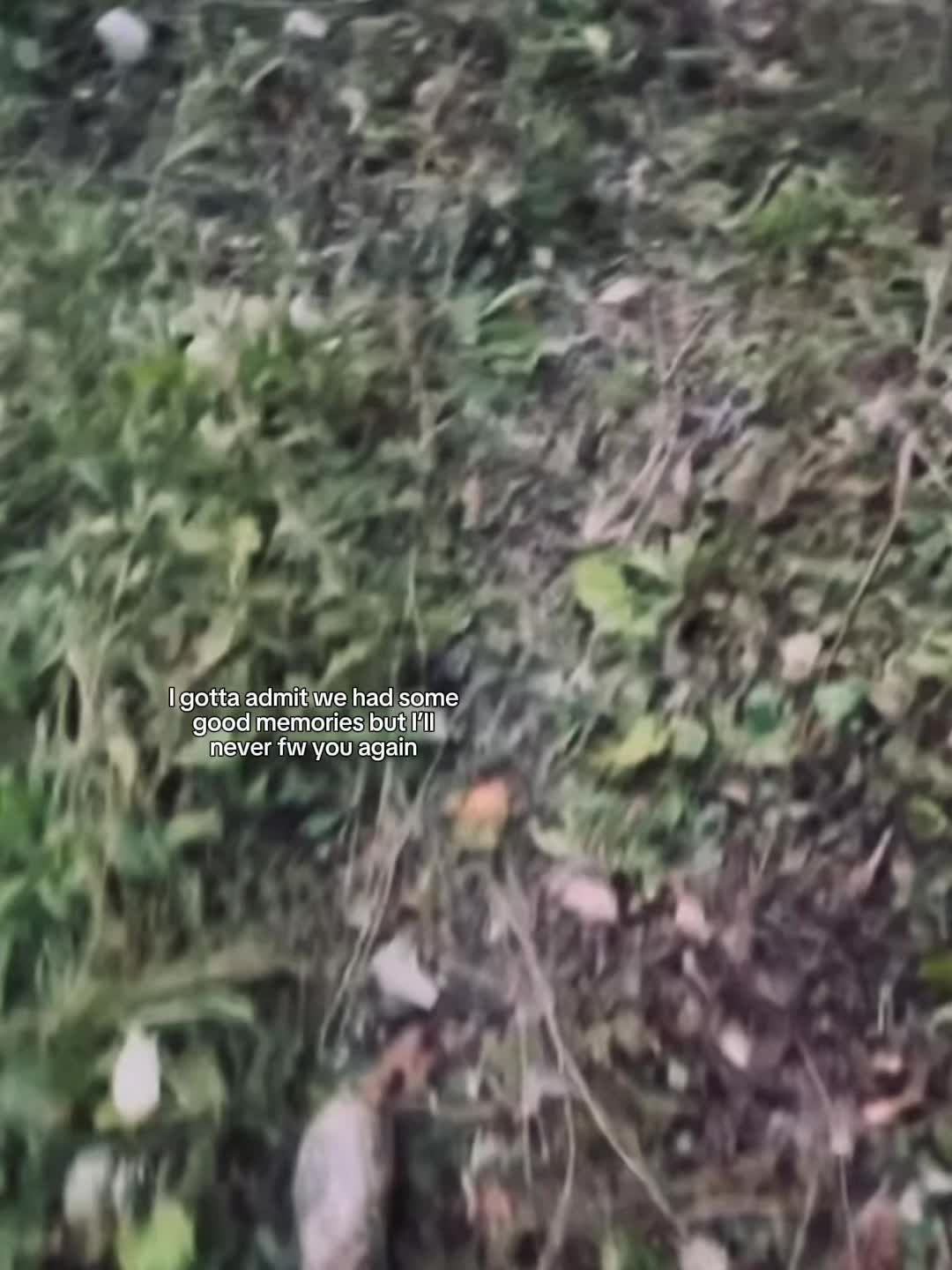 @secret_16.127