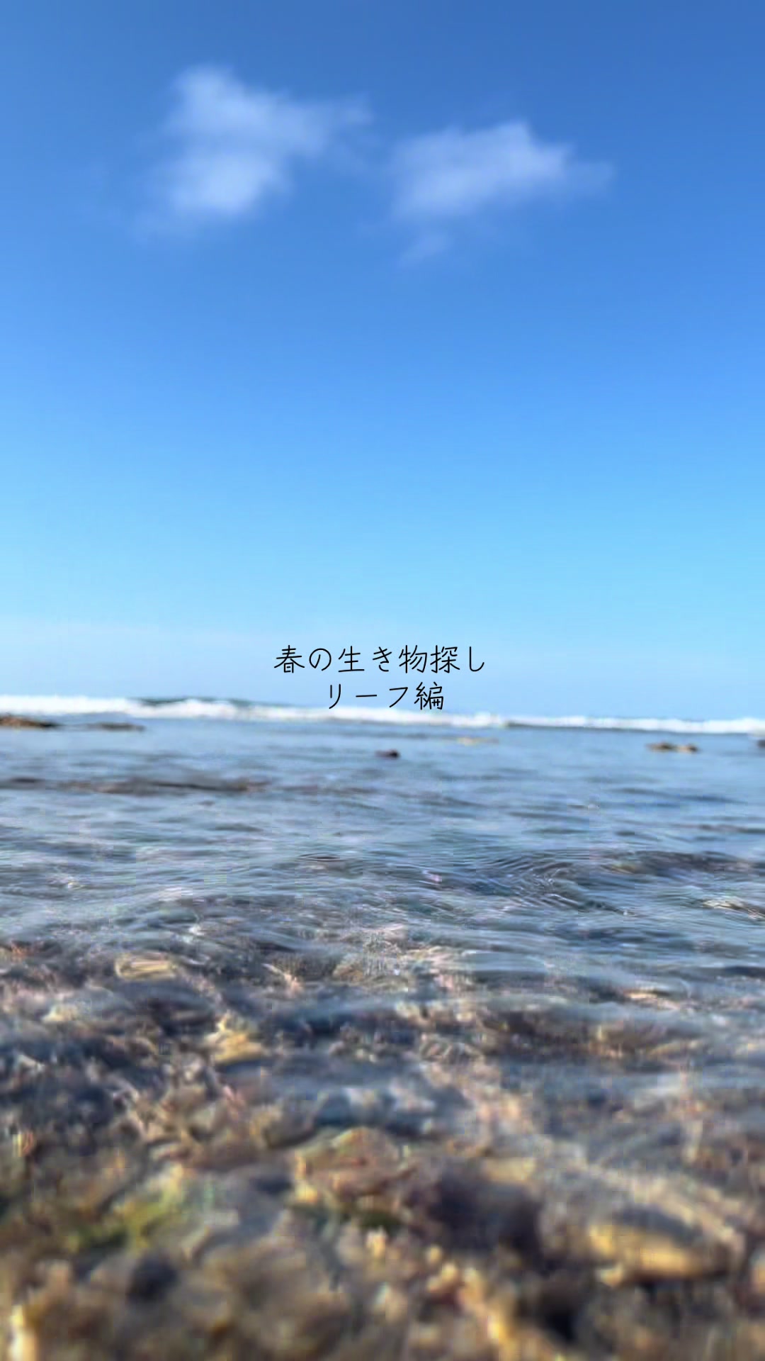 @えら
