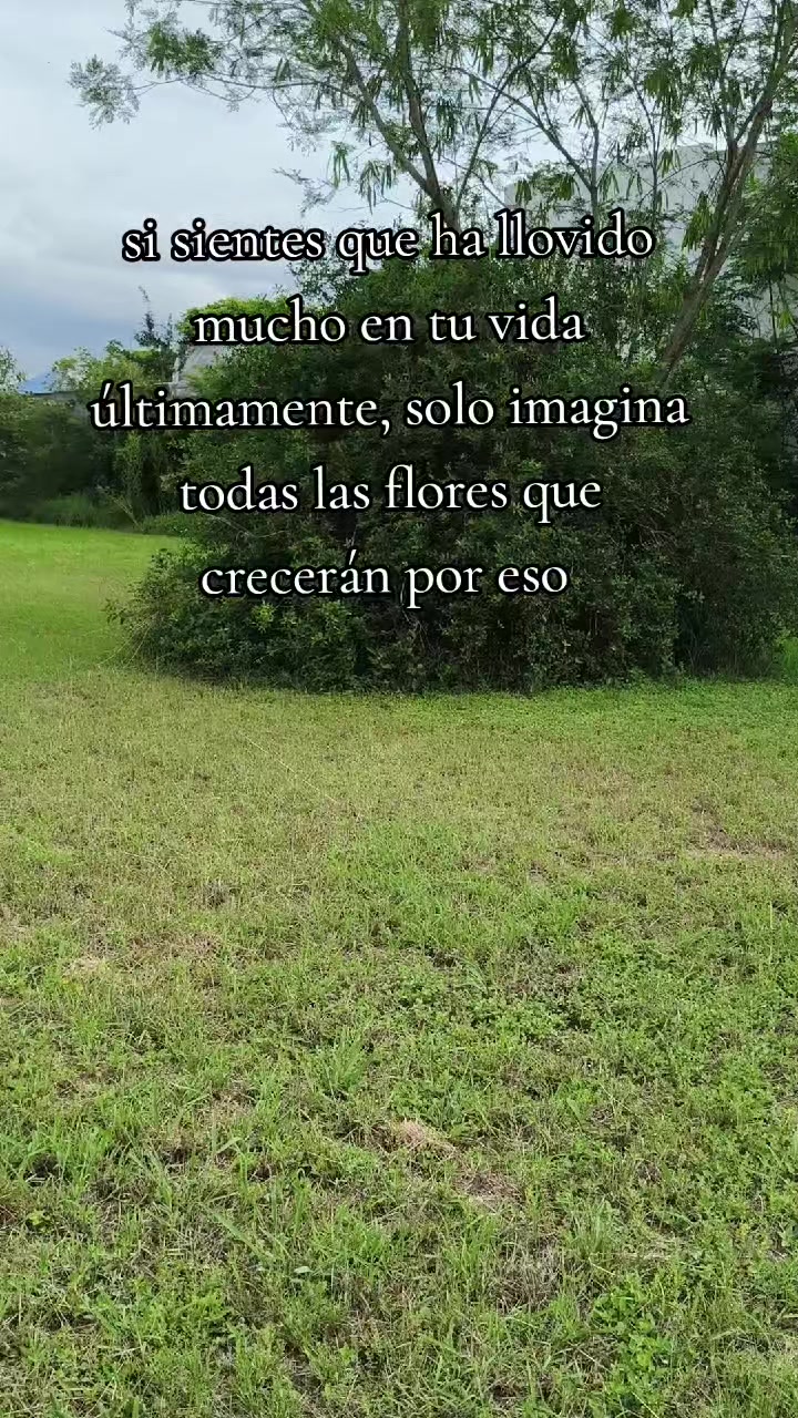 @neryzmar