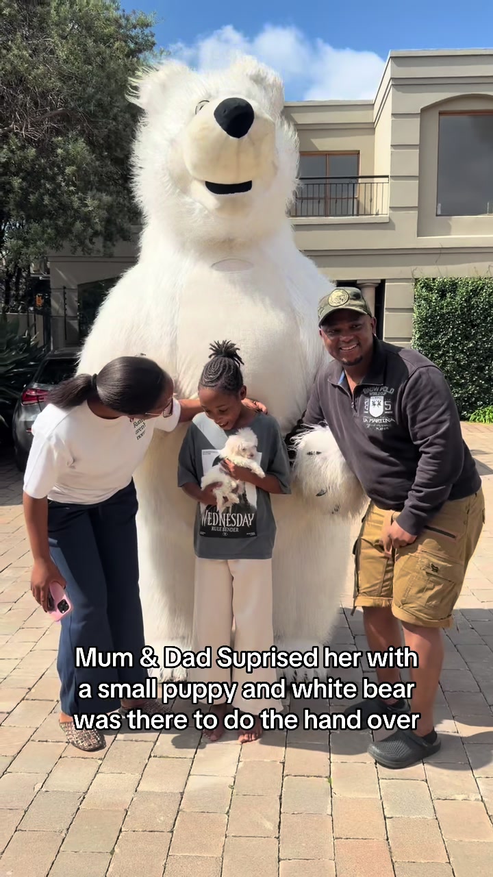 @dancingmascotssa