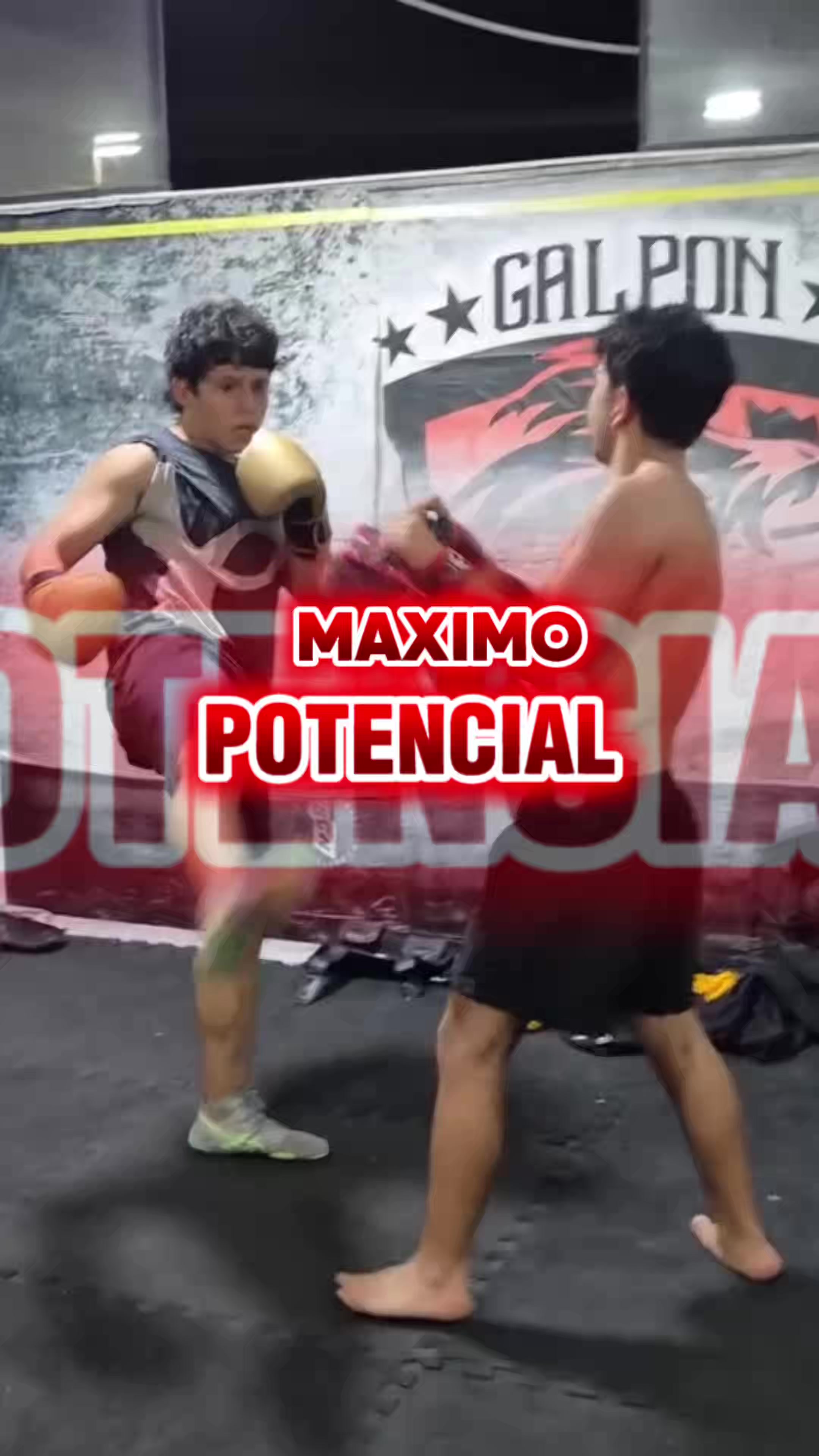 @Maximos Combat Club