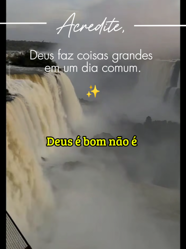 @Meirinha Teles