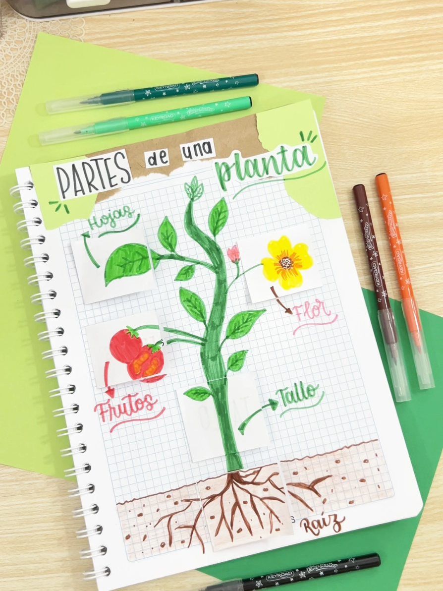 @lore_notes2