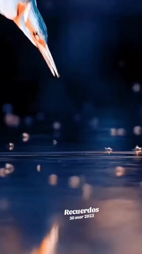@⦕āāæš
š„šØš«ššš”āæā•ā¦