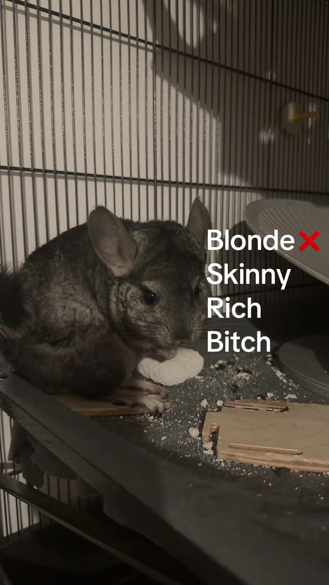 @BANDIT & STRIPE