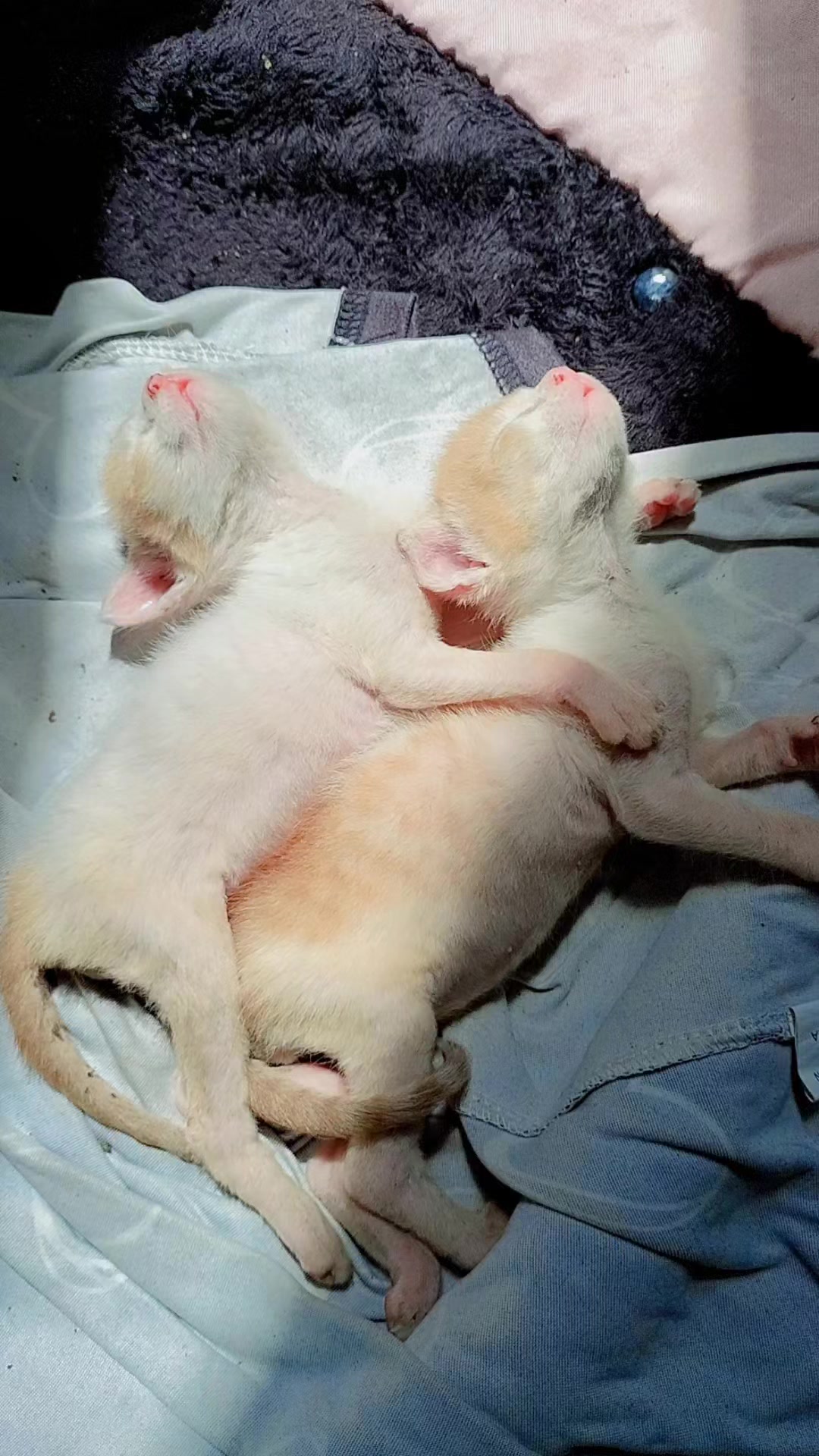 @Loa Rivas Lizbeth Guadalupe 🥰
