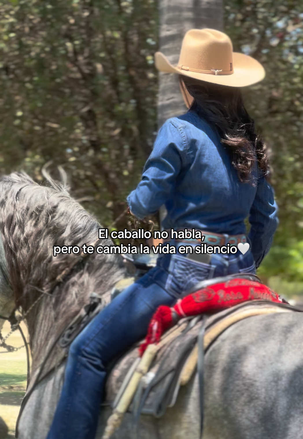 @Melissa Borrayo🤠
