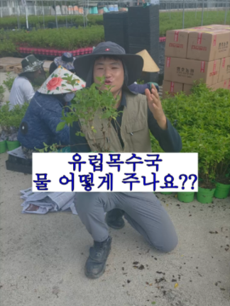 @농업회사법인 영호(주)