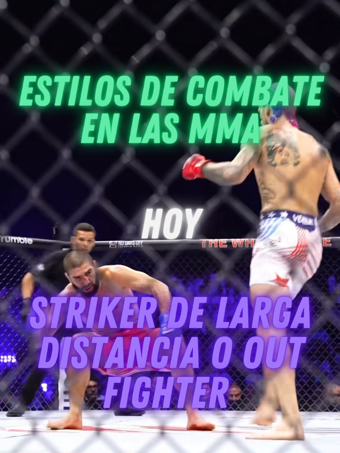 @Camilo Martial