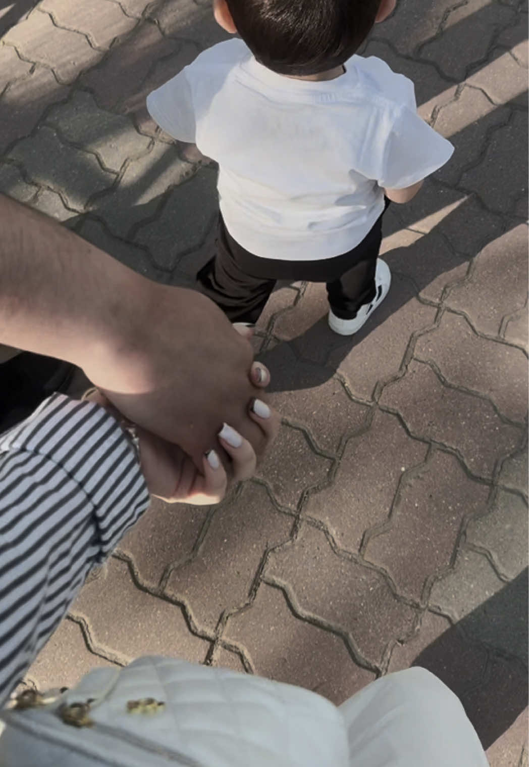 @☀︎☽