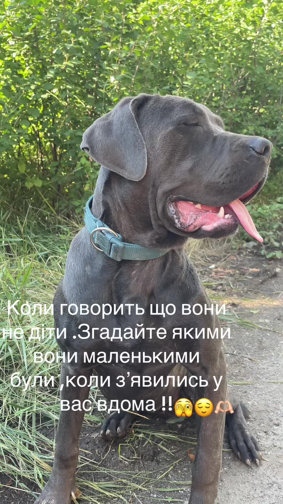 @Anna329kkov