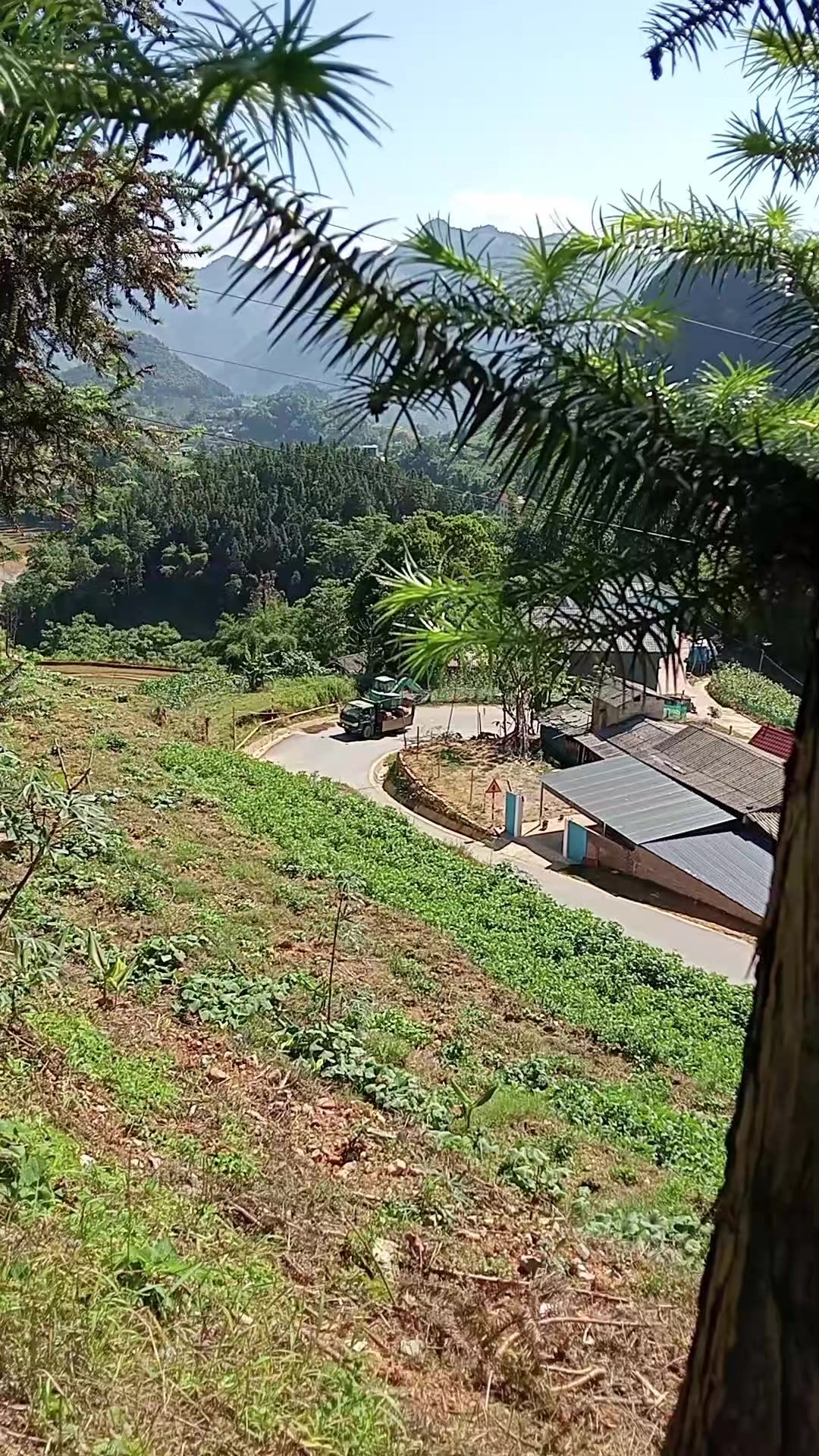 @𝒔𝒌𝒆𝒆𝒃