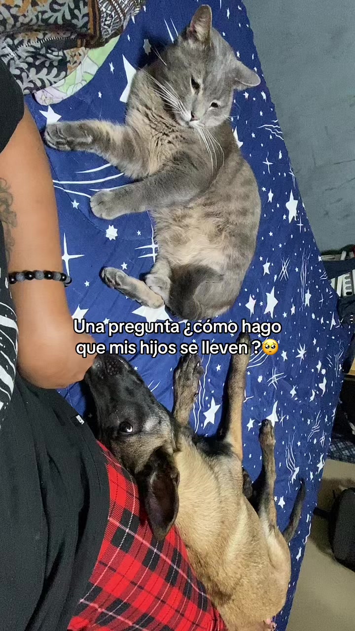 @Mishe✨