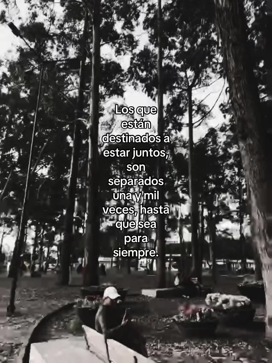 @️🥀Rafa🪫