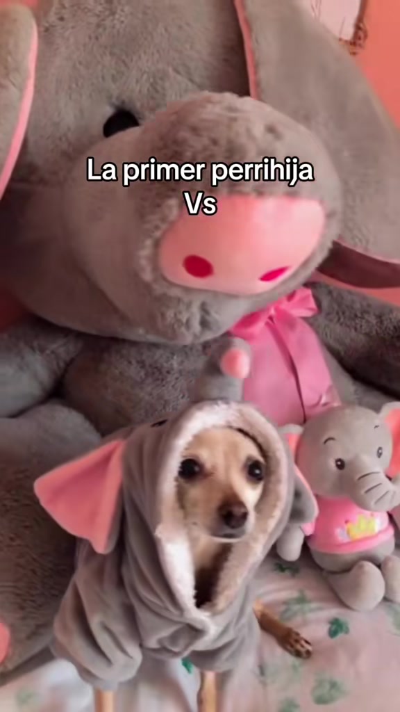 @❥ Almit&alpha;