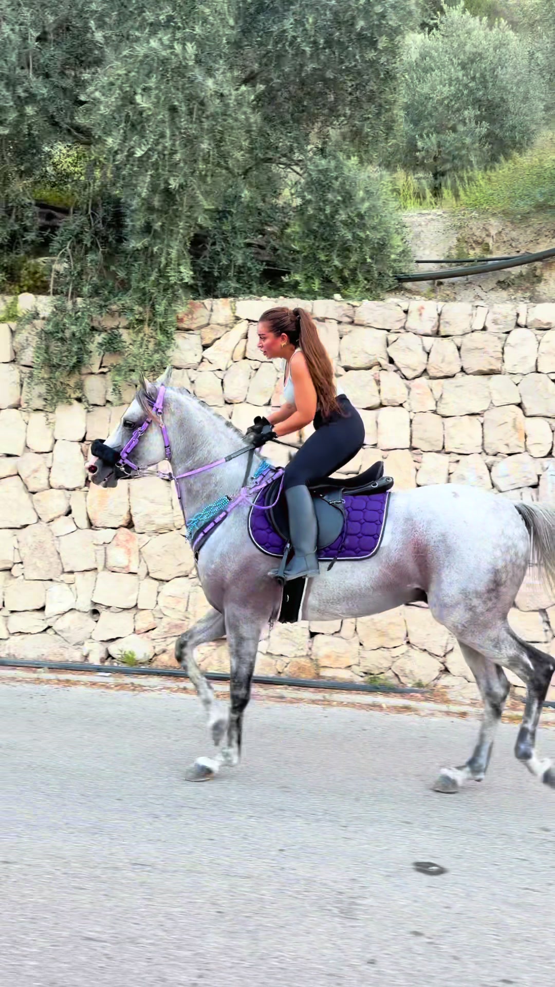 @لــيــن🐎