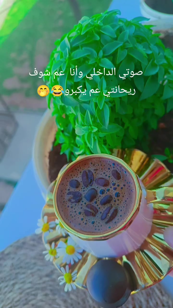 @☺️🌷زهرة حلب 🌷☺️