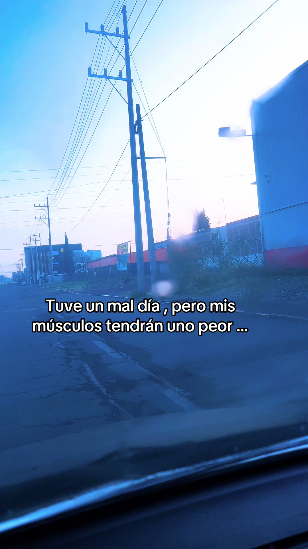 @Anali Castillo