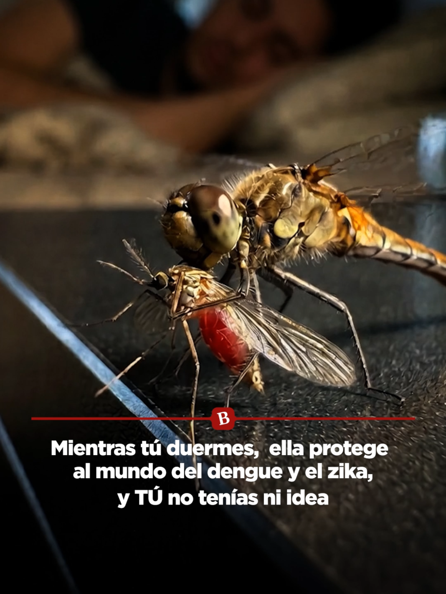 @Badabun