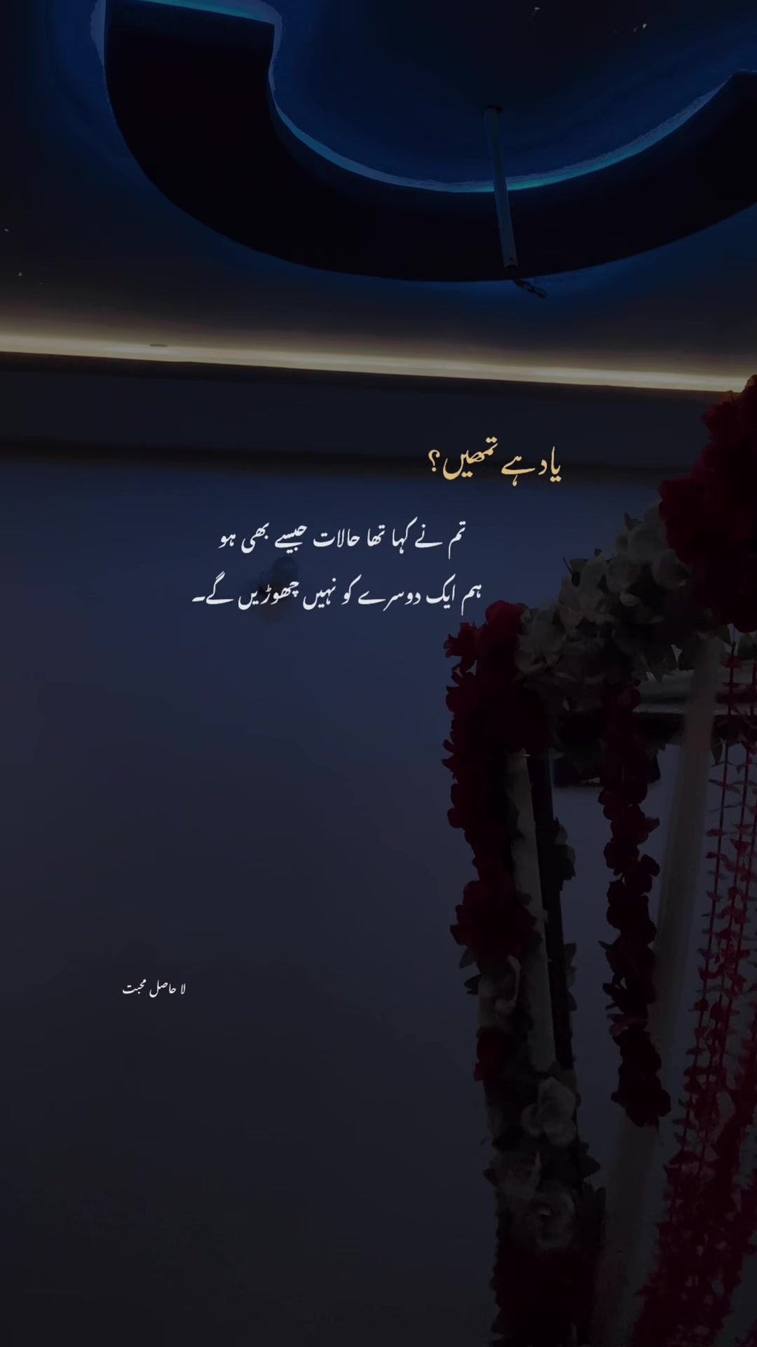 @لا حاصل محبت💔