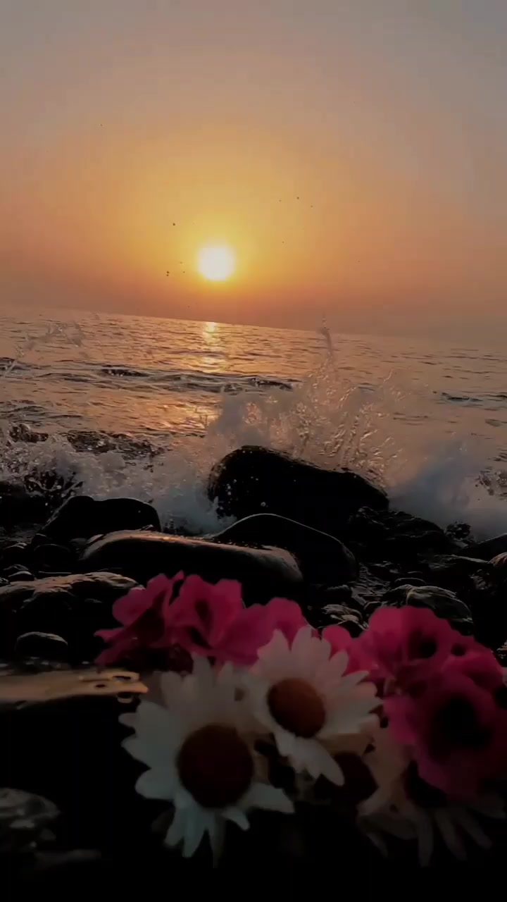 @نجم المكلا