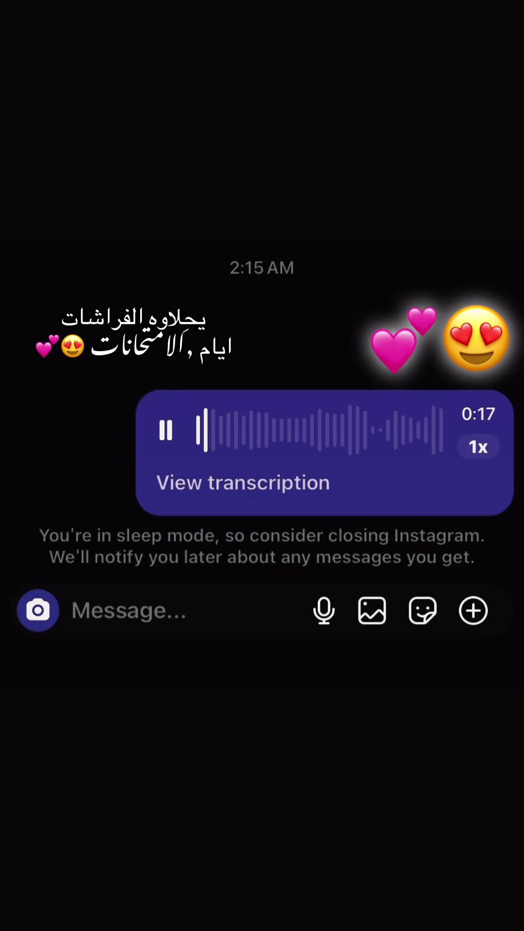 @✨💗🕷بنت بورسعيد🕸💗✨