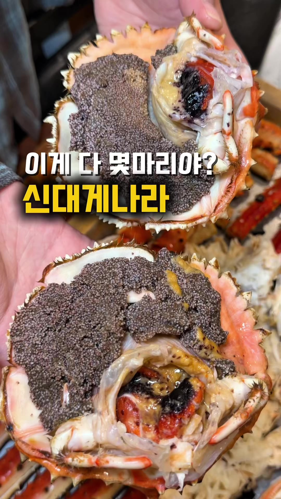 @jjongrrr