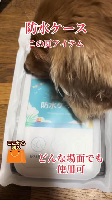 @ゆーゆ🐶🦔