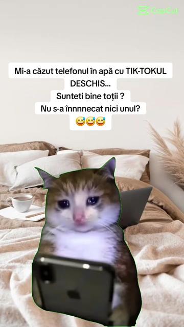 @Tasya